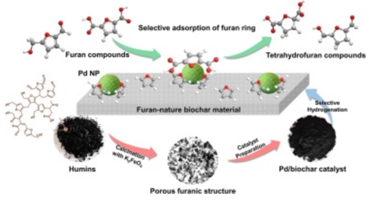 Valorization of humins into furanyl functionalized biochar for selective hydrogenation of five-member rings of furan compounds